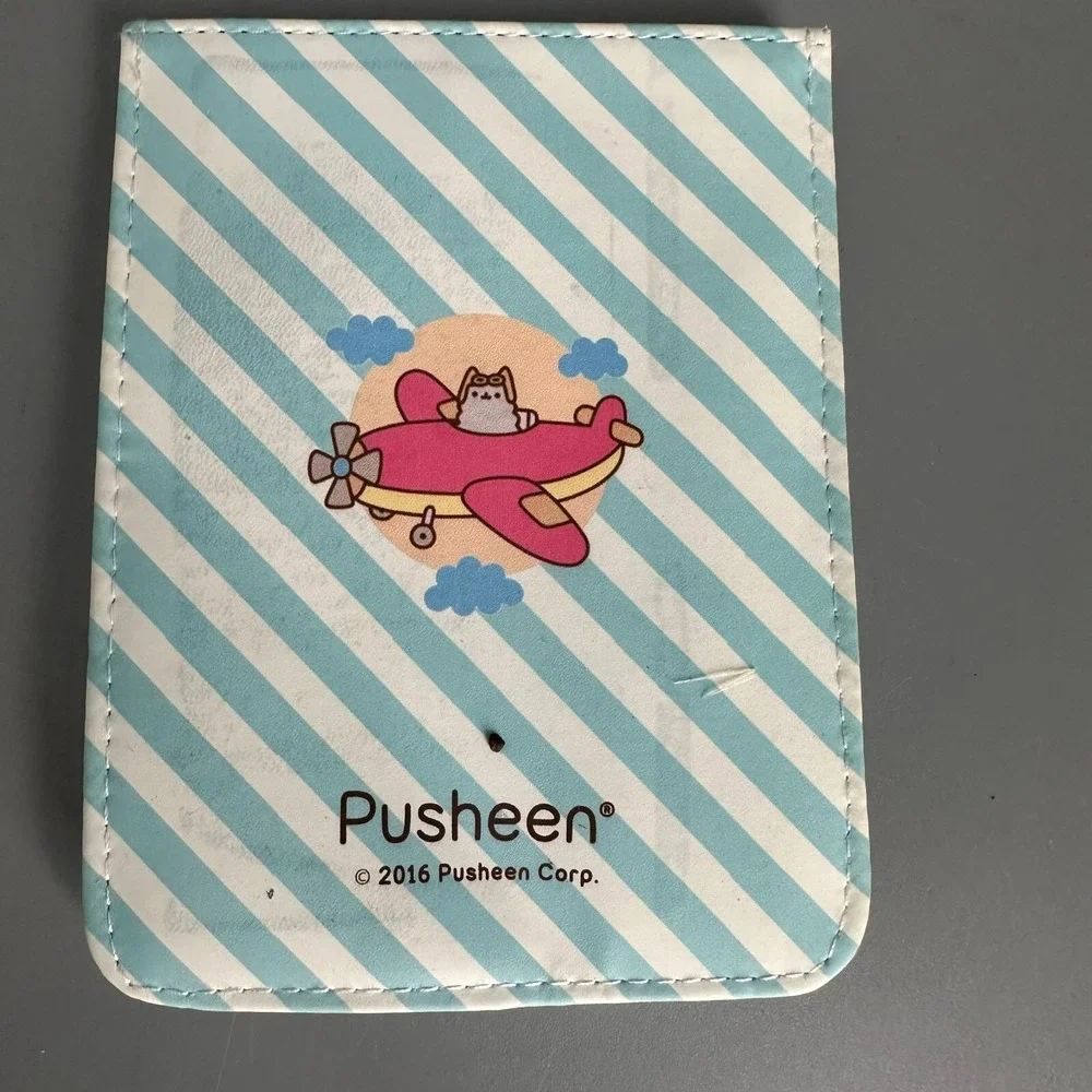 Pusheen side lining airplane